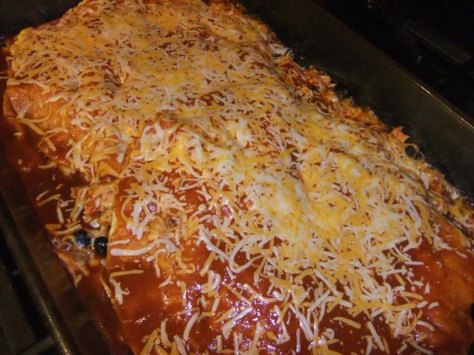 Easy Healthy Chicken Enchilada Bake Recipe