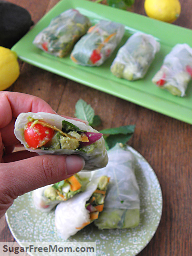 Chicken Avocado Salad Spring Rolls