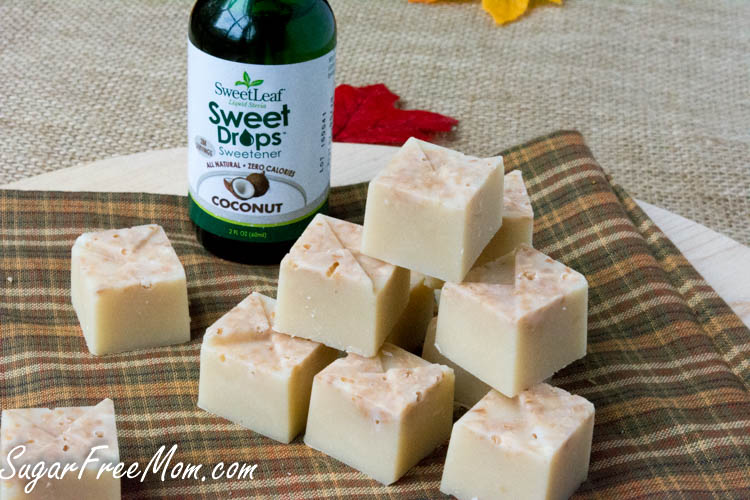 Sugar Free Maple Coconut Refrigerator Fudge Low Carb