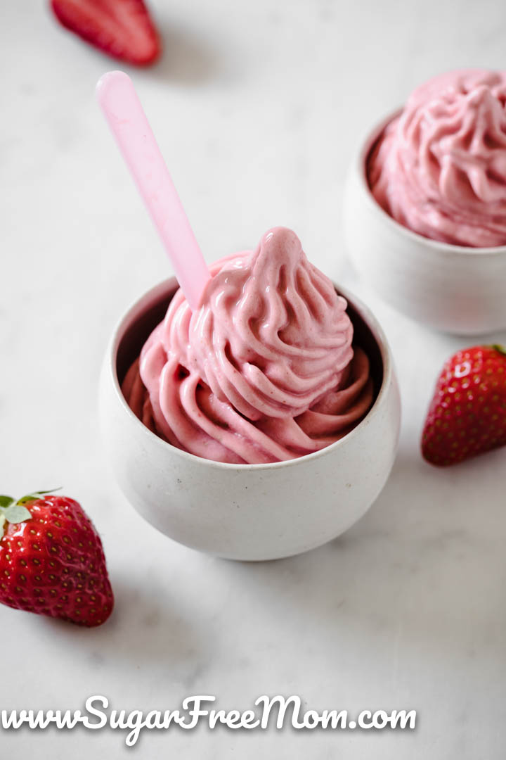 Fruit Ice Cream Frozen Yogurt Machine Modern Frozen Dessert Maker for Homes