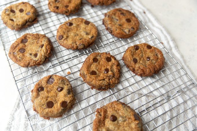 Chewy Bakery Style Sugar Free Chocolate Chip Cookies (Keto, Nut Free)